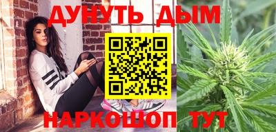 индика Жуковский