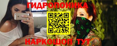 крисы Дубна